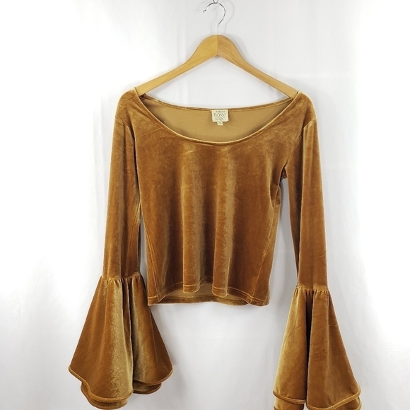 Torn by Ronny Kobo Velvet Flare Sleeve Top - Picture 3 of 9